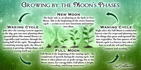 Moon Magic and Tarot: Enhancing Your Divination Skills